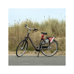 Damesfiets  (53cm/161-179cm)