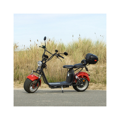 e-Chopper 2 Persoons