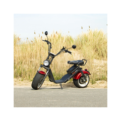 e-Chopper