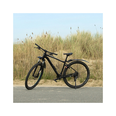 Mountainbike Größe XL 12 Gänge